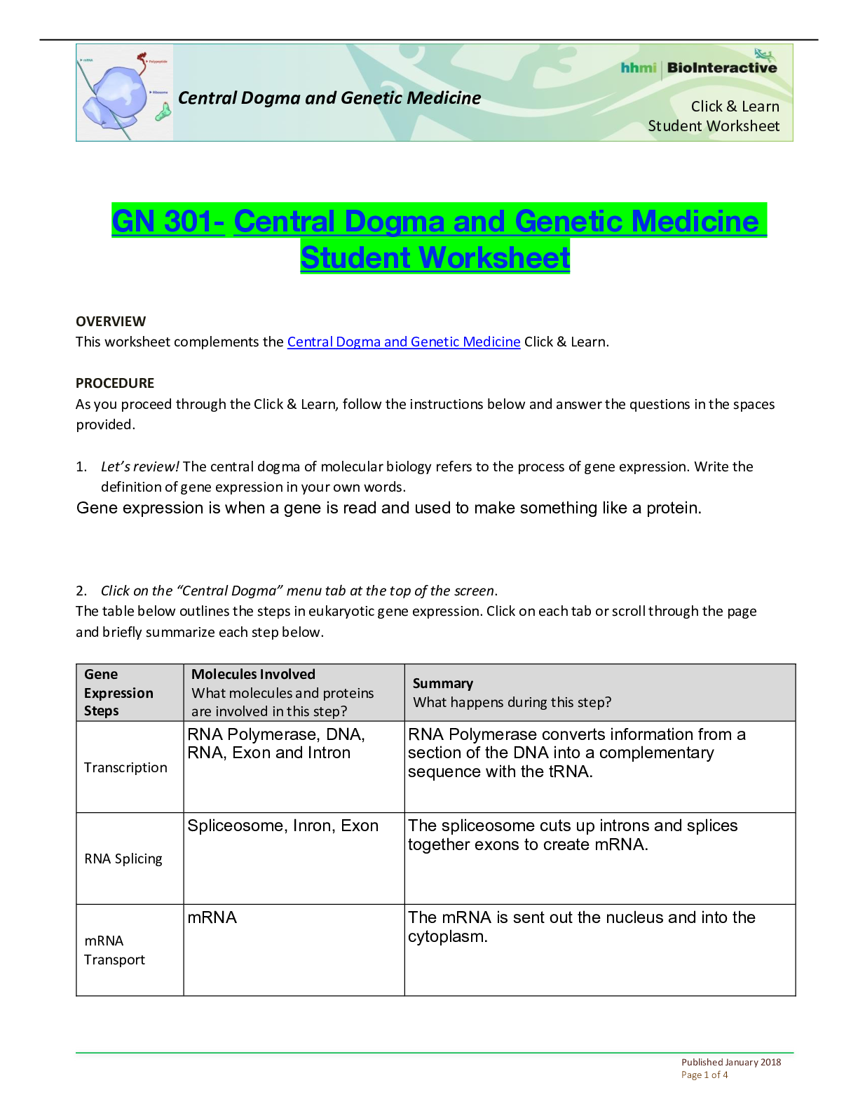 Preview of GN 301- Central Dogma and Genetic Medicine Student Worksheet